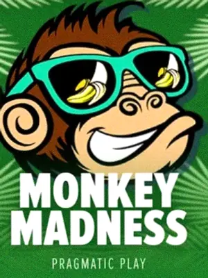 Monkey Madness at Cosmo