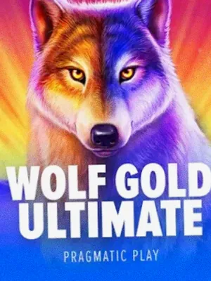 Wolf Gold Ultimate at Cosmo
